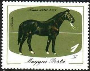 Nonius-36, 1883