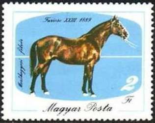 Furioso-23, 1889