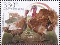 Copper Turkey
