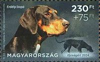 Transylvanian Hound