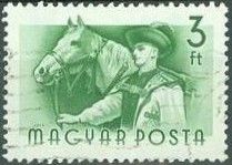 Horse (Equus ferus caballus) and Groom