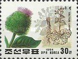 Arctium lappa