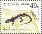 Smith's Skink (Eumeces coreensis)