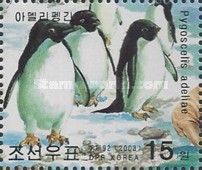 Adelie Penguin (Pygoscelis adeliae)