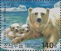 Polar Bear (Ursus maritimus)