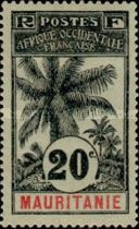 Palm Trees
