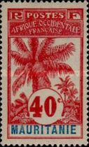 Palm Trees