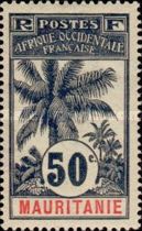 Palm Trees