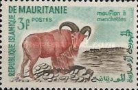 Barbary Sheep (Ammotragus lervia)