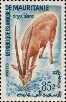 Scimitar Oryx (Oryx dammah)