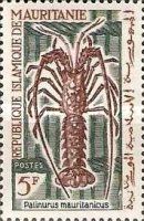 Pink Spiny Lobster (Palinurus mauritanicus)
