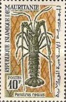 Royal Spiny Lobster (Panulirus regius)