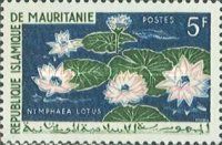Water Lilies