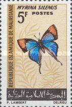 Common Figtree Blue (Myrina silenus)