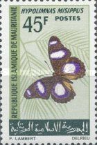 Diadem or Danaid Eggly (Hypolimnas misippus)
