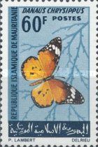 African Monarch (Danaus chrysippus)