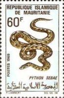 African Rock Python (Python sebae)