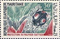 Date Palm Protection
