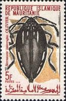 Beetle (Sternocera interrupta)