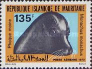 Seal (Monachus monachus)