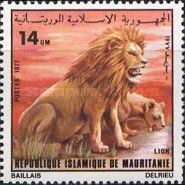 Lion (Panthera leo)