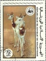 Dama Gazelle (Gazella dama)