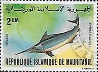 Swordfish (Xiphias gladius)