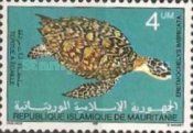 Hawksbill Turtle (Eretmochelys imbricata)