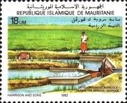 Developpement Agricole - Perimetre Irrigue - Gorgol