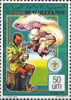 Holding Mushroom