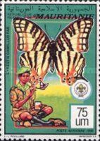 African Map Butterfly (Cyrestis camillus)