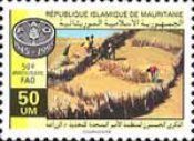 Planting of migratory dunes
