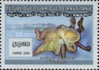 Octopus vulgaris