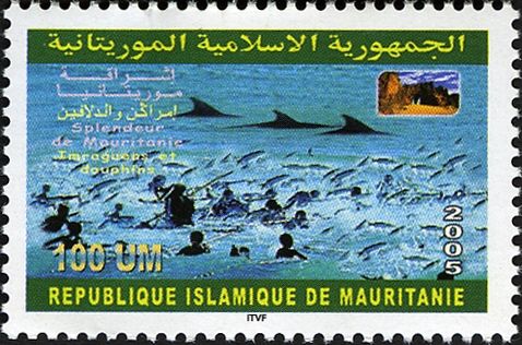 Imraguen fishermen with dolphins