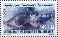 Sea Turtle
