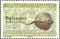 Dasyatis Margarita