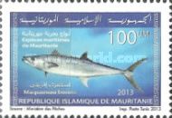 Marine Life Of Mauritania (Series I)