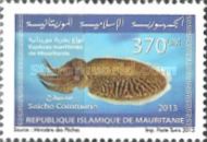 Marine Life Of Mauritania (Series I)