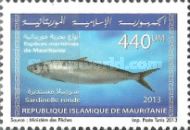 Marine Life Of Mauritania (Series I)