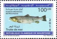 Marine Life Of Mauritania (Series II)