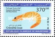 Marine Life Of Mauritania (Series II)