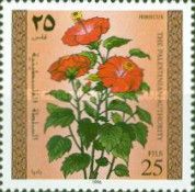 Hibiscus