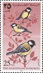 Great Tit (Parus major)