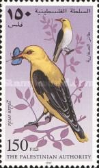Golden Oriole (Oriolus oriolus)