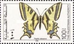 Southern Swallowtail (Papilio alexanor)