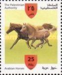 Golden Chestnut Horse (Equus ferus caballus)
