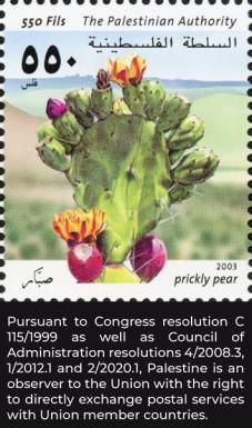 Prickly pear