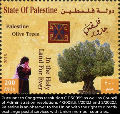 Olive Trees