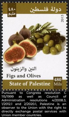 Agricultural Produce of Palestine : Figs & Olives