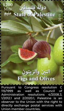 Agricultural Produce of Palestine : Figs & Olives